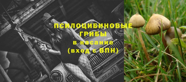 мет Новодвинск