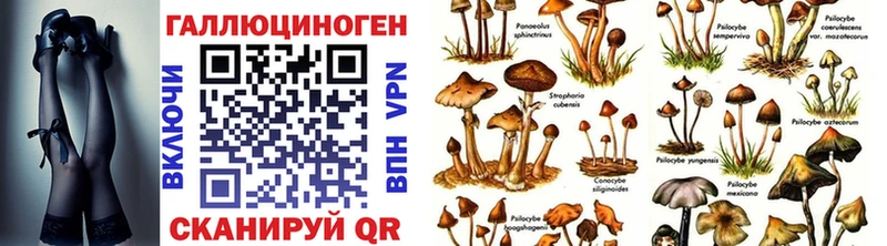 Галлюциногенные грибы GOLDEN TEACHER Кемь